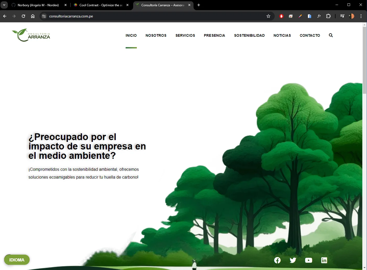 web de la consultora